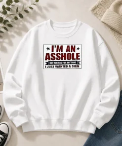 Hot I Am An Asshole Not Running For Anything I Just Wanted A Sign Sweater