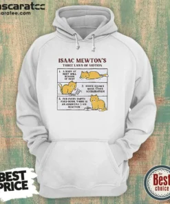 Hot Isaac Mewton'S Three Laws Of Motion Cat Hoodie featuring a graphic cat illustration and text on a comfortable pullover hoodie