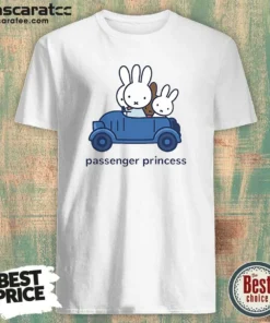 Official Miffy Passenger Princess Bunny Cute Rabbit