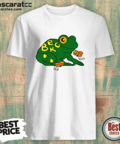 Original Beck Frog With Flies Alternative Rock Indie Music