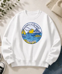 Pretty University Of Delaware Newark DE Coastal Emblem Sweater